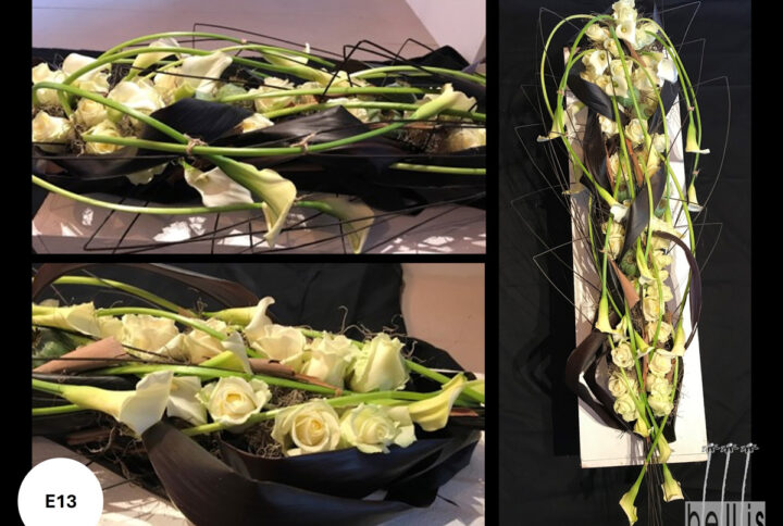 Bellis Mouscron - Compositions florales