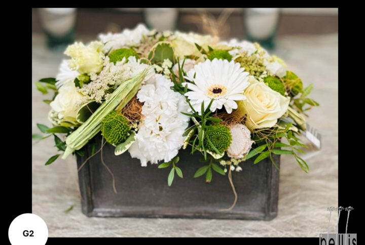 Jardinerie Bellis Mouscron - Compositions florales
